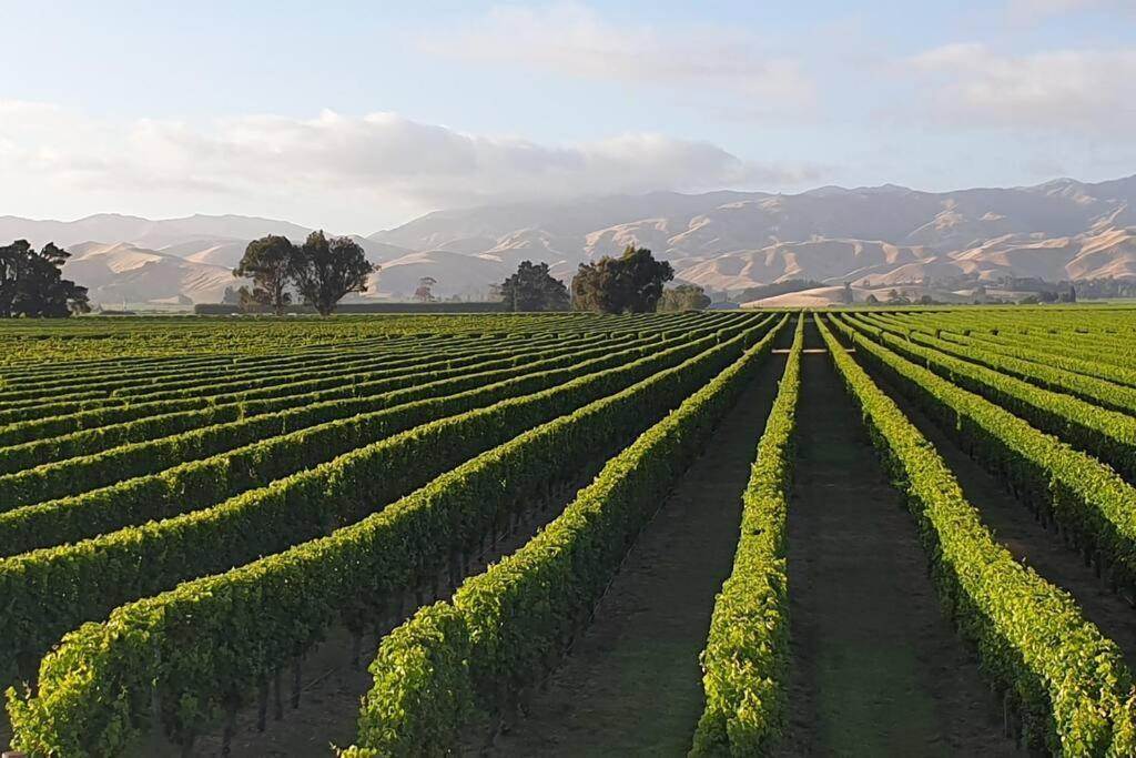 Luxury Cottage With Stunning Vineyard Views Renwick Luaran gambar